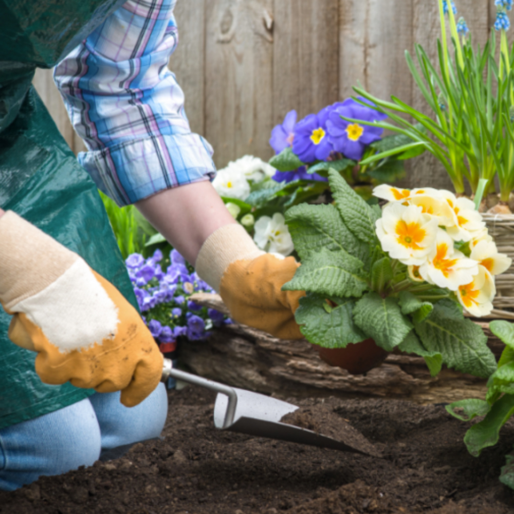 6 tipp, hogy a lehető legkényelmesebb és legbiztonságosabb legyen a kertészkedés